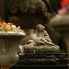 IMG_4318.jpg