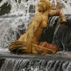IMG_3895.jpg