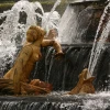 IMG_3900.jpg