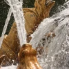 IMG_3901.jpg