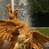 IMG_4263.jpg