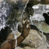IMG_4284.jpg