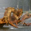 IMG_0656.jpg