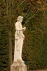 IMG_0670.jpg