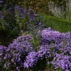 IMG_0936.jpg