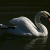 IMG_1005.jpg