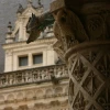 IMG_1249.jpg