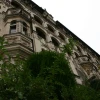 IMG_1254.jpg