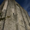 IMG_1416.jpg