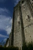 IMG_1418.jpg