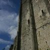 IMG_1418.jpg
