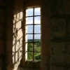 IMG_1425.jpg