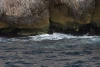 CRW_0401.jpg