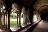 CRW_0990.jpg