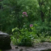IMG_0039.jpg
