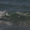 IMG_0324.jpg
