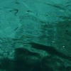 IMG_0398.jpg