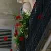 IMG_0568.jpg