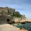 IMG_0655.jpg