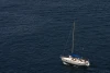 IMG-0735.jpg
