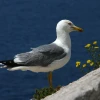 IMG_0766.jpg