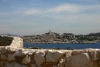 IMG_0796.jpg