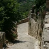 IMG_1042.jpg