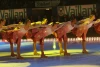 2008-02-09_006.jpg
