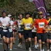 IMG_2290.JPG