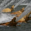 IMG_4006.JPG