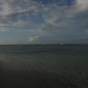 IMG_6704.JPG