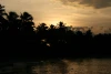 IMG_6919.JPG