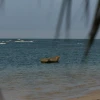 IMG_6984.JPG