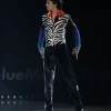 Stéphane Lambiel "The Four Seasons"