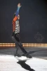 Stéphane Lambiel "The Four Seasons"