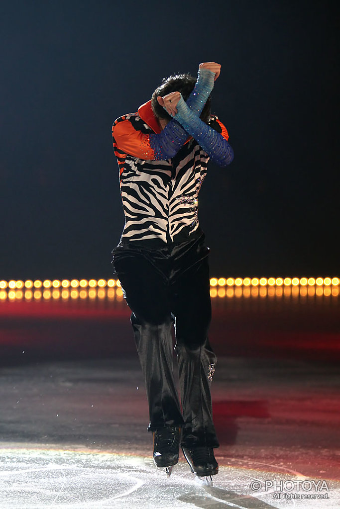 Stéphane Lambiel &quot;The Four Seasons&quot;