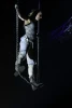 Silea