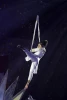 Debbie Park and her Aerial Experience Angels