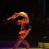 IMG_3242.jpg